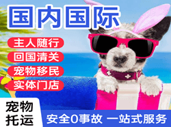 乌兰浩特航空空运国际宠物托运 【国